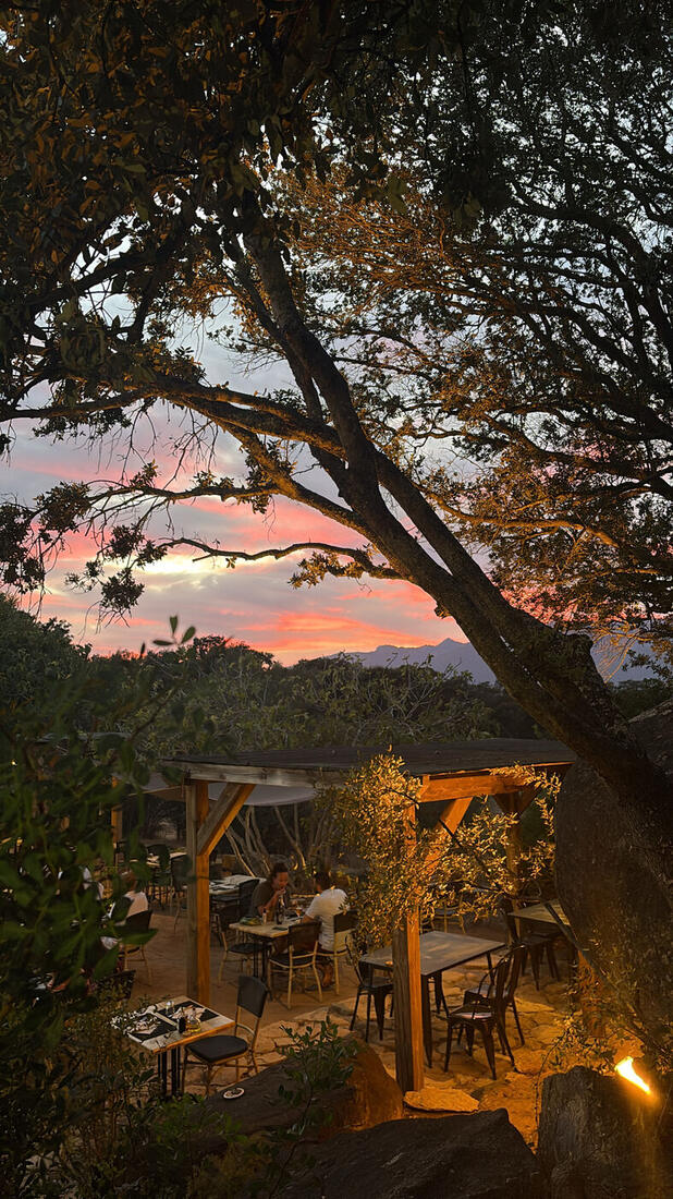 La terrasse au coucher du soleil, sous les chênes