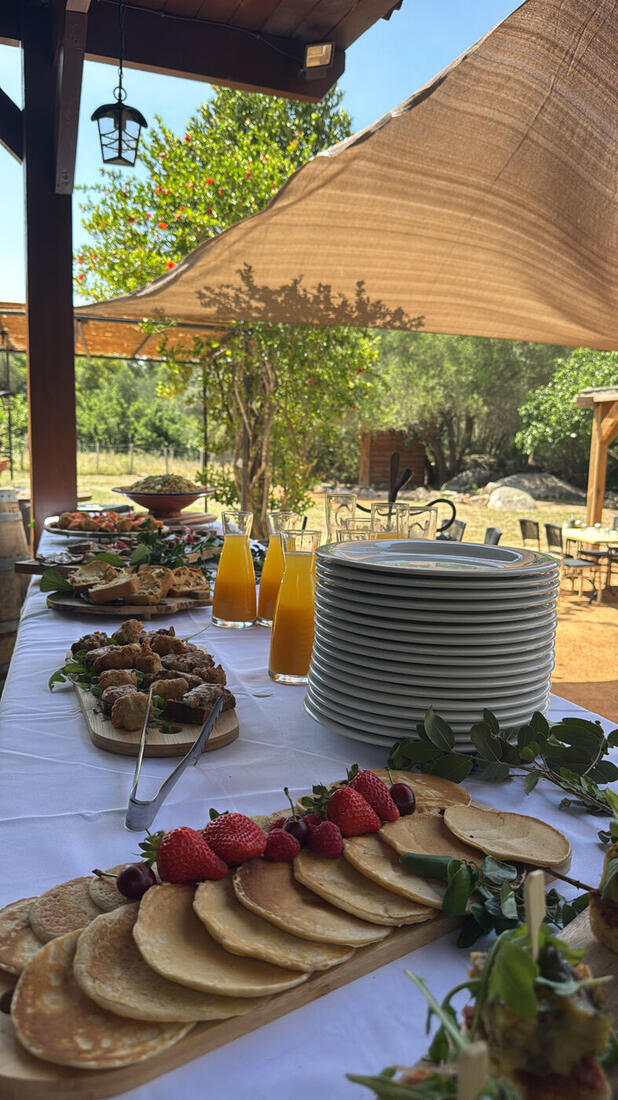 Le buffet du brunch sous les voiles d'ombrage