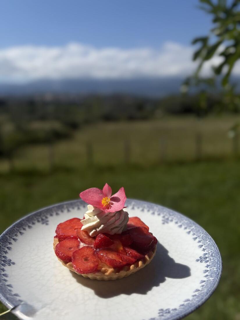 Tartelette aux fraises face aux montagnes